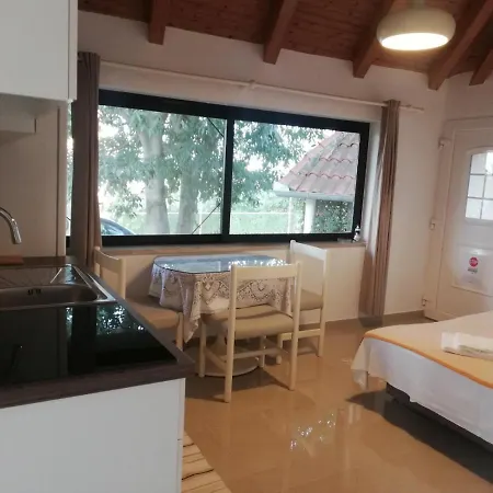 Apartment Vintijan *