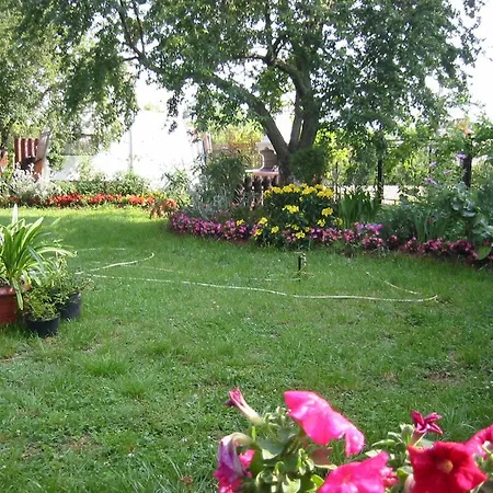 Vintijan Pula