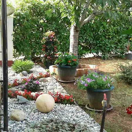 Apartment Vintijan *