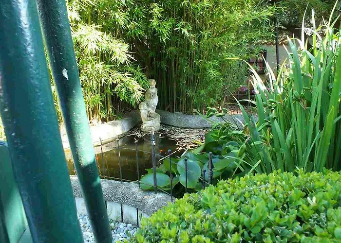 公寓 维提加公寓 普拉