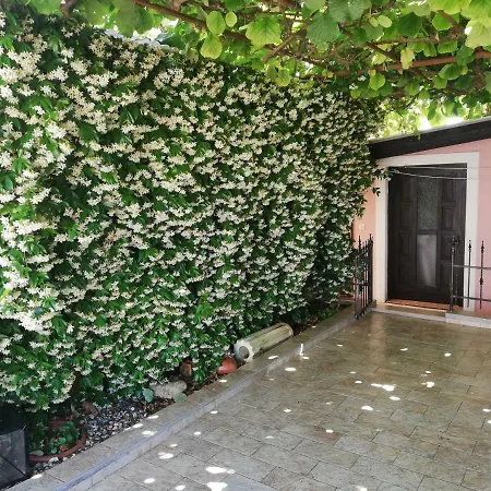 Vintijan Apartment