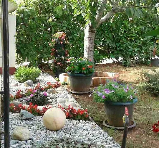 Appartement Vintijan *