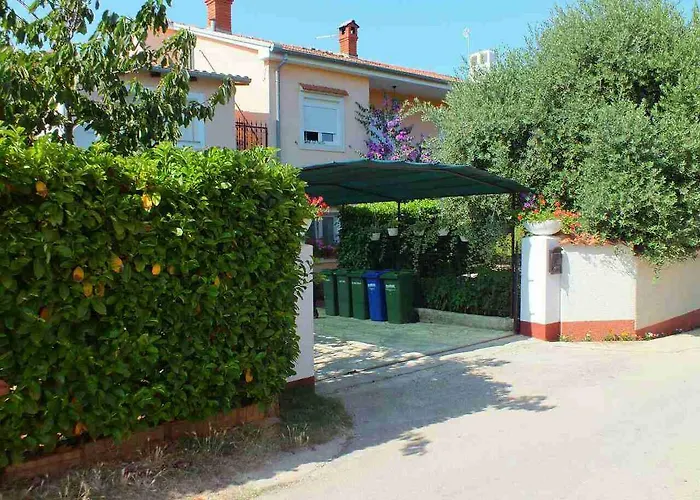 Vintijan